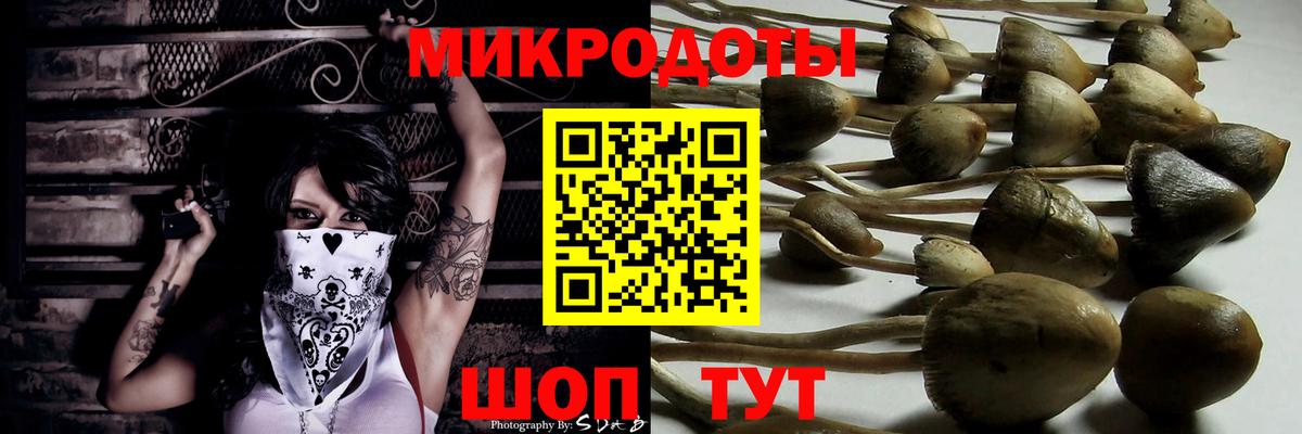 Галлюциногенные грибы Magic Shrooms  Псилоцибиновые грибы MAGIC MUSHROOMS  Вход с VPN  Кумертау 