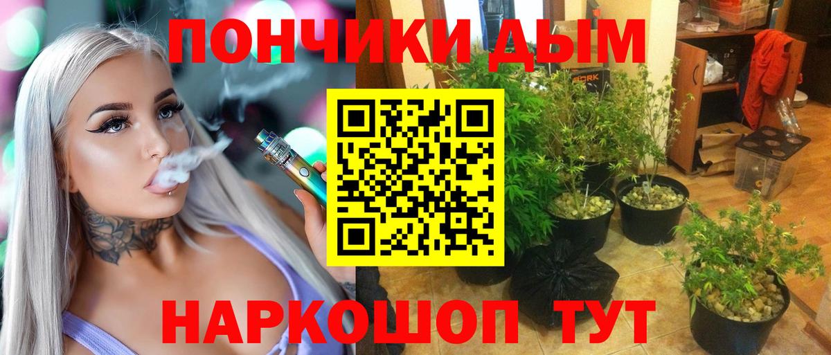 Бошки Шишки сатива Кумертау